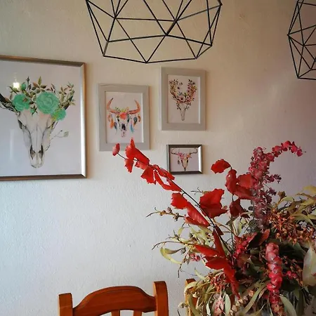 Apartment En El Centro De Bellver *